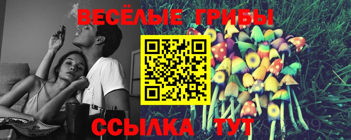 Благовещенск  Псилоцибиновые грибы прущие грибы  Вход с VPN  Галлюциногенные грибы MAGIC MUSHROOMS 